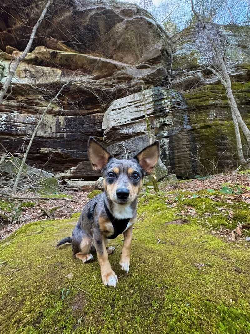 Ox-Lot Cave Trail (Rim Rock National Recreation Trail)
