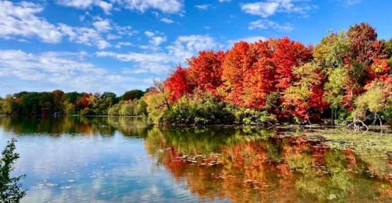 Retirement Looks Extra Appealing In These 7 Incredible Michigan Cities