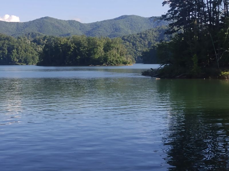 Watauga Lake