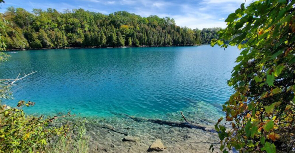 See Why Visitors Can’t Stop Talking About This Crystal-Clear New York Pond
