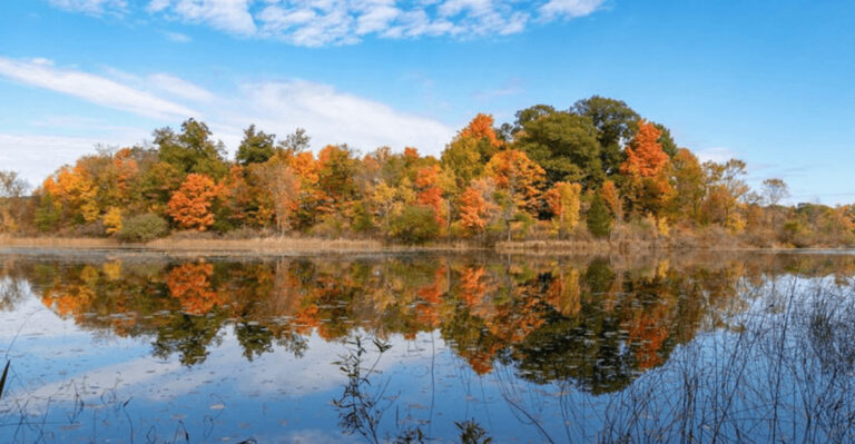 Skip The Private Resorts For These 8 Michigan Lakes With Public Access