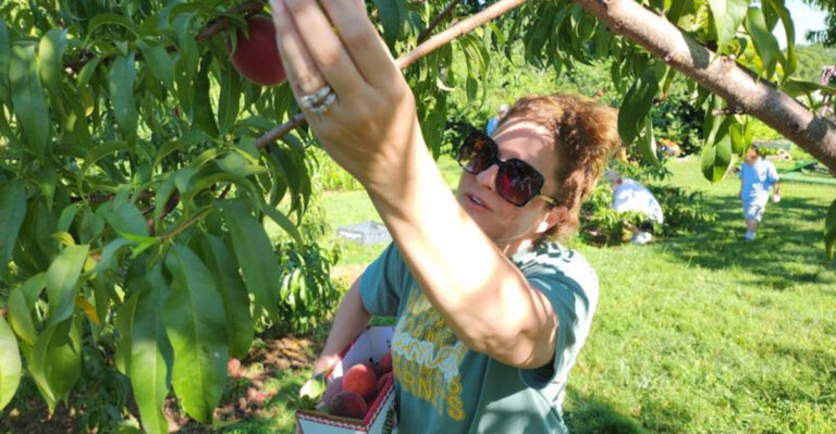 Spend A Day Picking Juicy Tennessee Peaches At This Family-Friendly Orchard