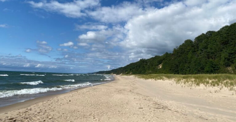 Step Into 13 Michigan Parks That Feel Like Their Own Wild Little Universes