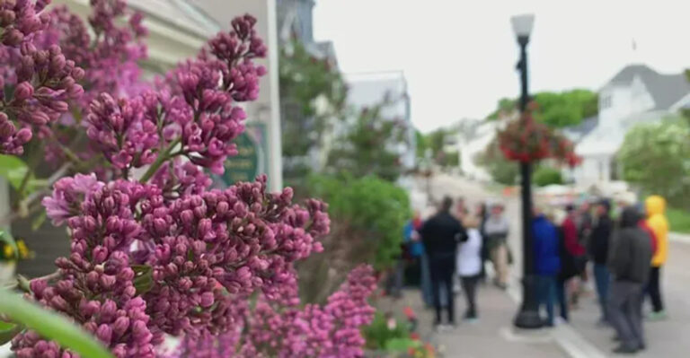 Summer Starts Loud With These 13 Michigan Events and Festivals