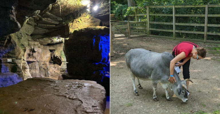 The Incredible Underground Ohio Cave Tour You Have To Experience