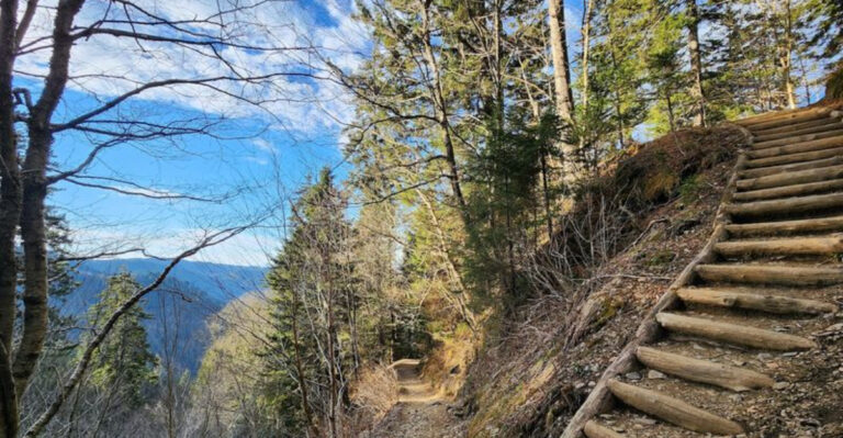 The Million-Dollar Views From This Tennessee Trail Are Almost Too Good To Be Real
