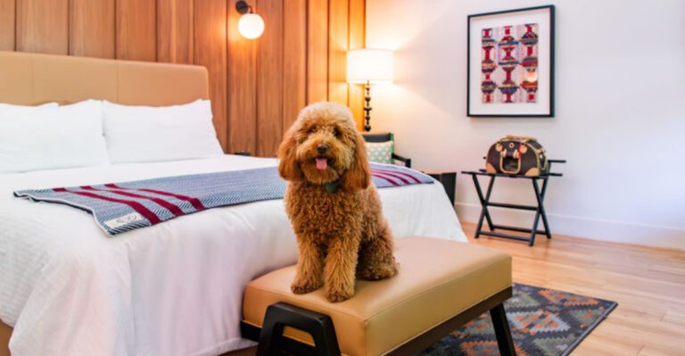 The Mountain Views At This Tennessee Riverside Inn Are Just The Beginning