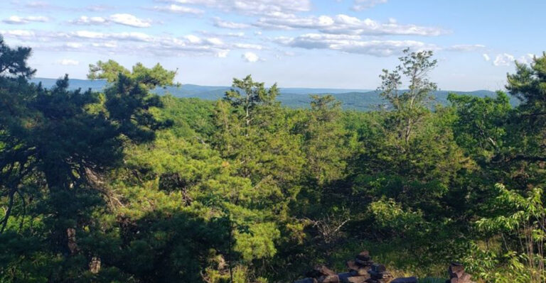 The Primitive Forest In New Jersey Most People Have Never Heard Of