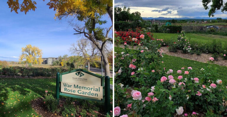 The Stunning Rose Garden in Colorado That Most People Don’t Know About