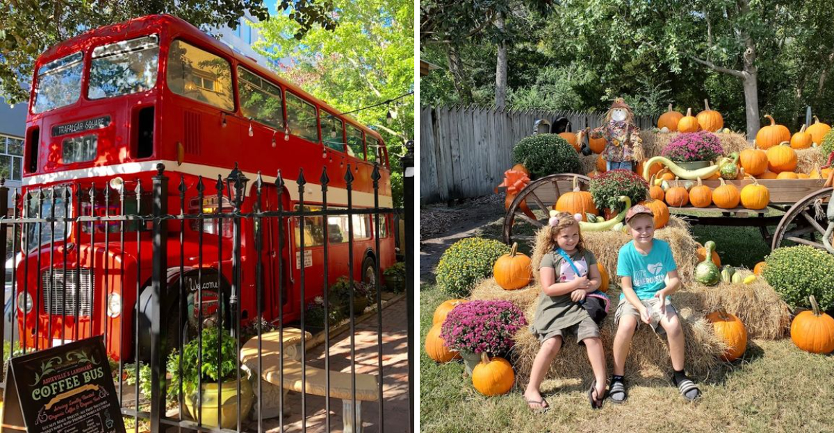 These 10 North Carolina Restaurants Feel Like Hidden Bucket List Destinations