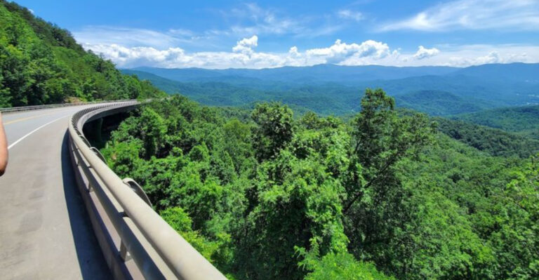 These 11 Beautiful Tennessee Backroads Reward Travelers With Incredible Hidden Wonders