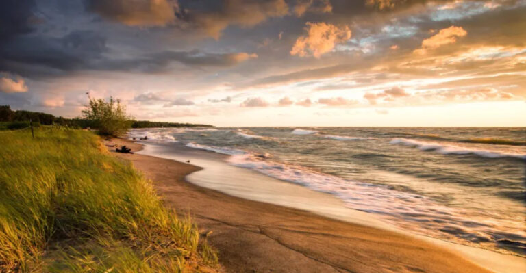 These 12 Ohio Spots Are The Best Places To Find Fossils, Beach Glass, And More