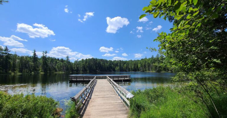 These 13 Michigan Summer Trips Prove A Good Day Out Doesn’t Need A Big Budget
