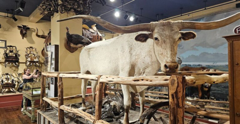 These 7 Historic Places In Texas Feel Like A Step Back In Time