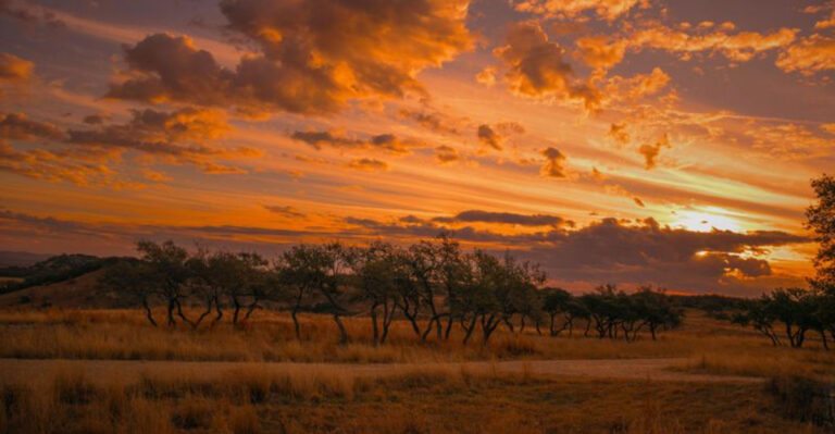 These 8 Charming Small Towns Show Why Everything Is Better In Texas