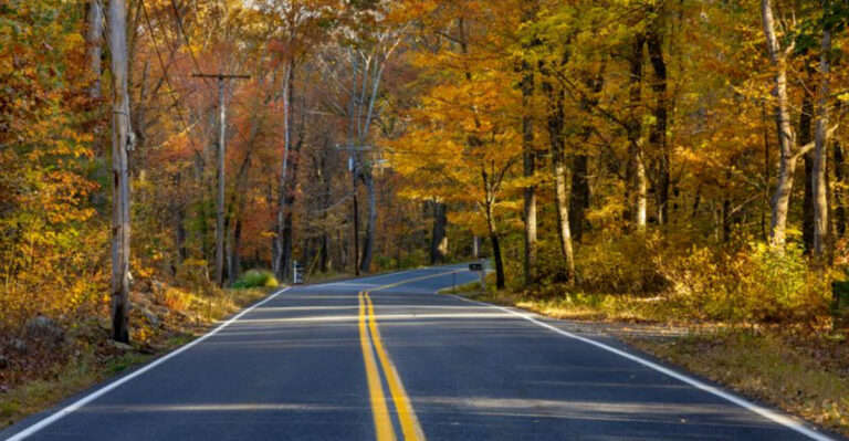 These 8 Quiet New Jersey Backroads Are Perfect When You Need To Escape