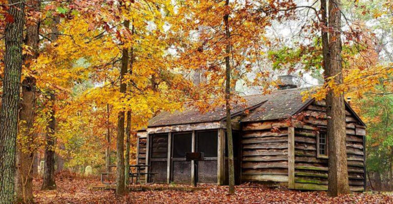 These Rustic Cabins In A New Jersey State Park Are The Cozy Escape Campers Dream About
