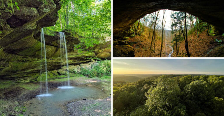 This 200,000-Acre Forest in Indiana Hides a Free Crystal Scavenger Hunt Across Its Secret Creeks