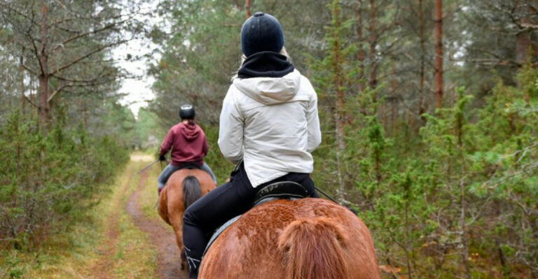 This 2,142-Acre New Jersey Forest Lets You Explore the Woods on Horseback