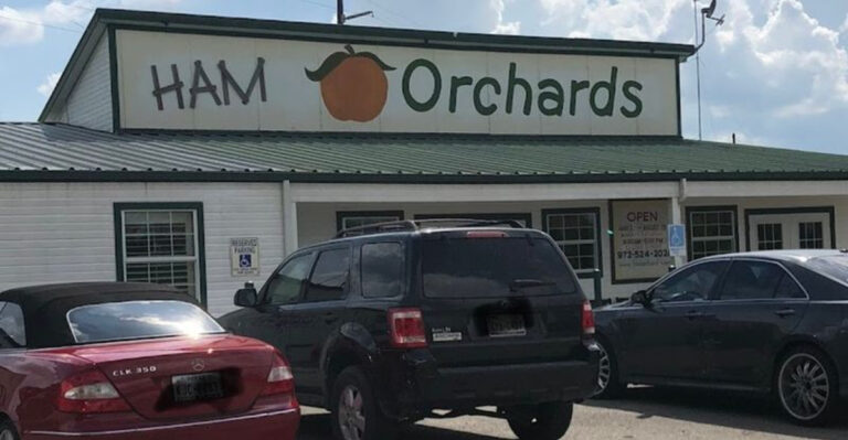 This Adorable Blackberry Farm Near Dallas Has Pick-Your-Own Berries, Peach Soft Serve, and BBQ