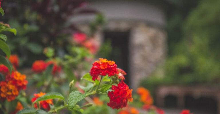 This Beautiful Michigan Garden Deserves Way More Attention Than It Gets