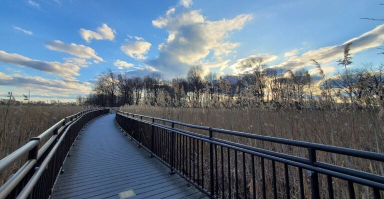 This Former Landfill in New Jersey Is Now a Peaceful Wildlife Sanctuary With a Walking Trail