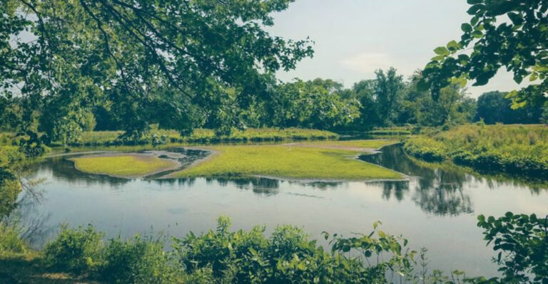 This Hidden Michigan Place Is Free to Visit and Perfect for a Peaceful Day Trip