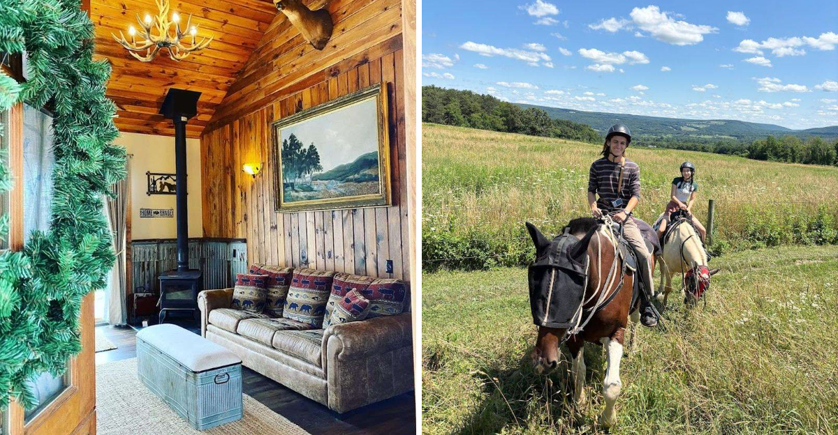 This Hidden New York Farm Lets You Sleep Beside Beautiful Horses in a Cozy Cabin