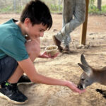 This Little-Known Missouri Animal Park Lets You Feed a Kangaroo by Hand