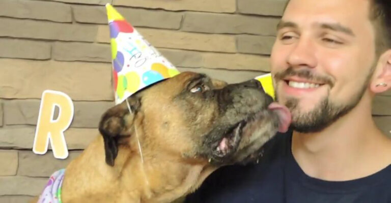 This New Jersey Dog Daycare Might Be Nicer Than Your Last Hotel