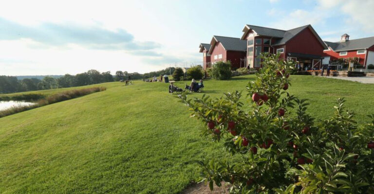This Ohio Farm Market Makes A Perfect Summer Detour You’ll Want To Repeat
