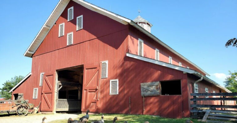 This Ohio Heritage Farm Feels Like A Perfect July Afternoon (A Pure Summer Relaxation)