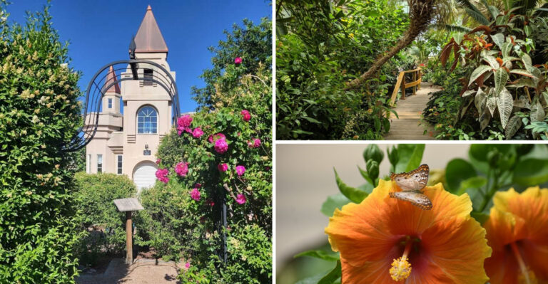 This Peaceful Colorado Garden Feels Like a World Away From the Crowds