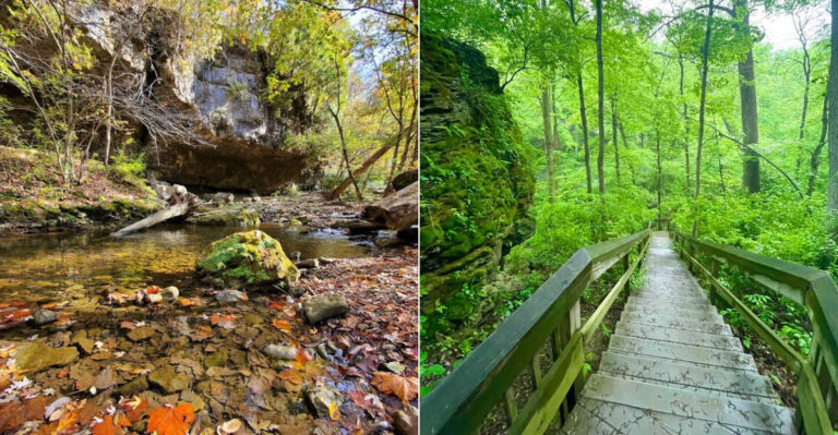 This Peaceful Ohio Hike Leads Straight Into A Gorge Full Of Natural Beauty