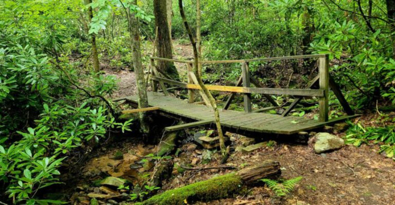 This Pennsylvania Spot With Mountain Streams And Forest Trails Is Worth Exploring