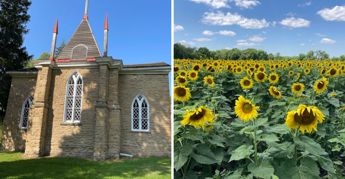 This Remote Illinois State Park Combines Canyon Views With Old West Charm