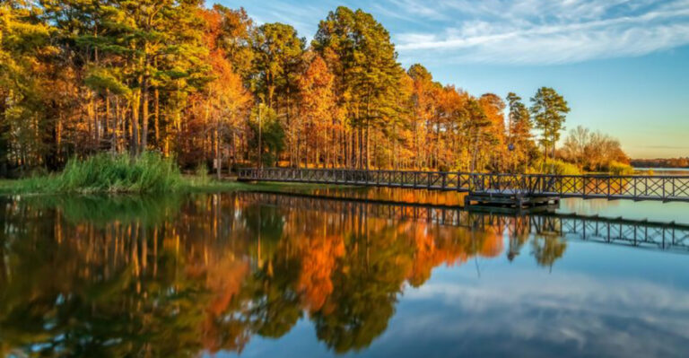 This Scenic East Texas State Park Is a Lovely Lake Escape With Campsites, Fishing, and Paddling