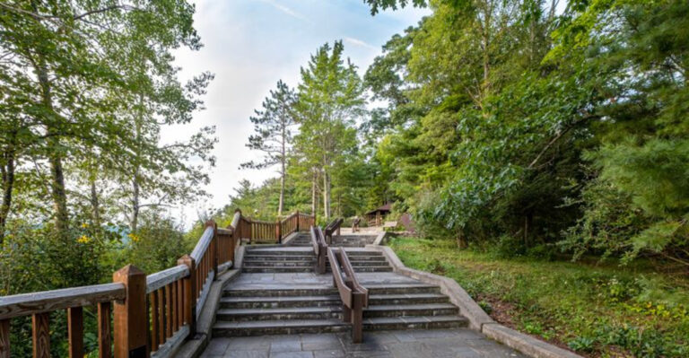This Short Pennsylvania Trail Leads To One Of The Most Spectacular Overlooks Of The Grand Canyon Of Pennsylvania