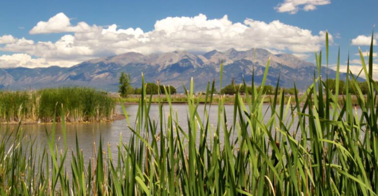 This Slow-Paced Colorado Town Is Affordable and Perfect for Stress-Free Living