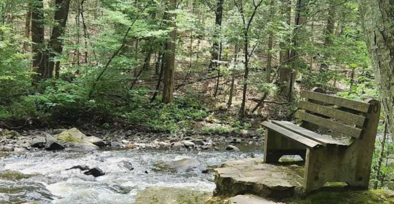 This Surreal New Jersey State Park Looks Like It Belongs in Middle-earth