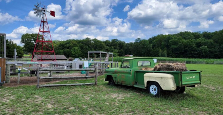 This Sweet New Jersey Farm Is All Blueberries, Pies, and Family Fun