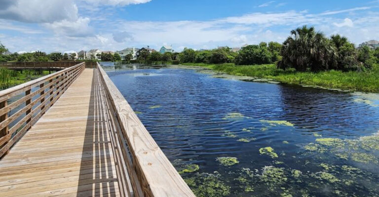 This Texas Boardwalk Trail Winds Through A Hidden Bird Sanctuary Most People Drive Past