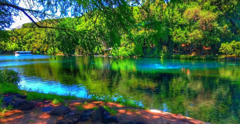 This Texas Hidden Gem Has Glass-Bottom Boats, Clear Water, and Wildlife Views