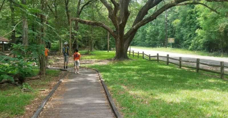 This Texas Nature Area Has Beautiful Boardwalk Trails Through Wetlands and Forest