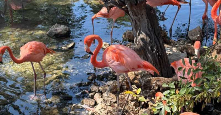 This Texas Park Turns a Regular Day Into a Family Vacation