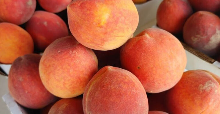 This Texas Peach Stop Turns a Hill Country Drive Into a Beloved Summer Tradition