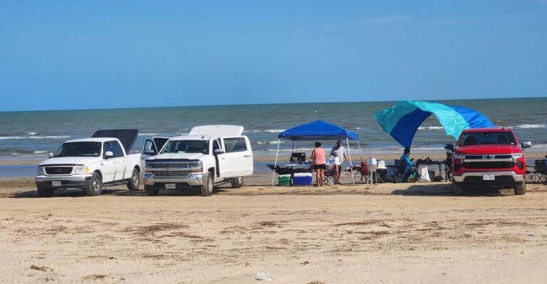 This Texas Wildlife Refuge Lets You Dig For Prehistoric Shark Teeth On A Hidden Fossil Beach