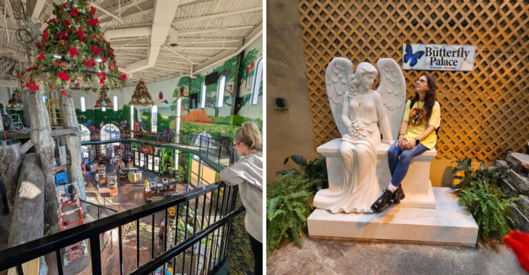 This Tropical Wonderland in Missouri Belongs on Every Traveler’s Bucket List