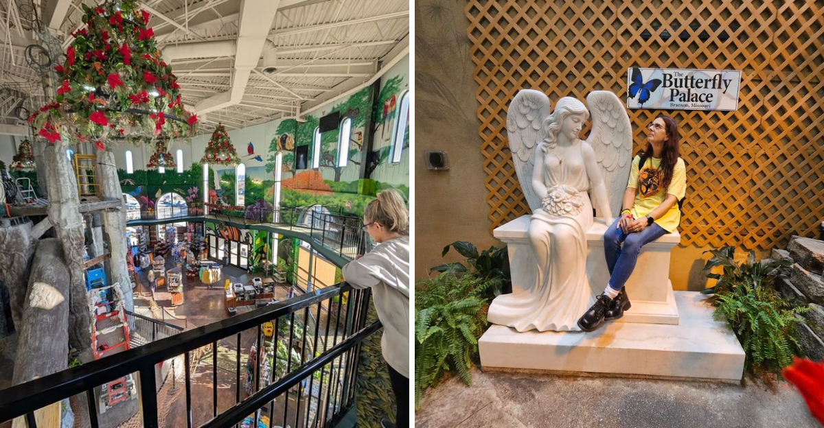 This Tropical Wonderland in Missouri Belongs on Every Traveler’s Bucket List