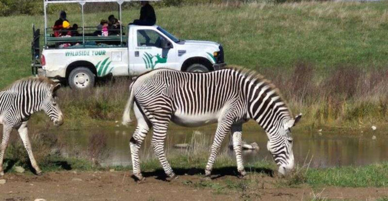 This Underrated Ohio Safari Is A Hidden Gem For Animal Lovers